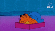 Wake Up Reaction GIF by Mola TV Kids