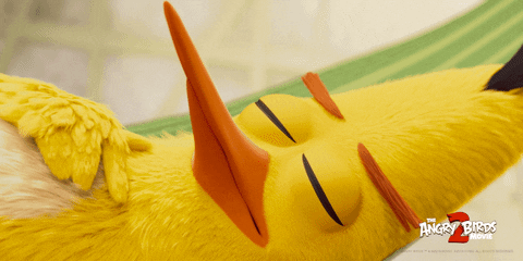 wakeup GIF by Angry Birds Movie