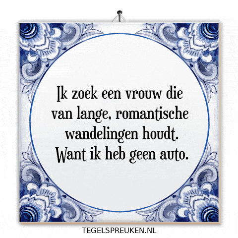 Auto Nl GIF by Tegelspreuken.nl