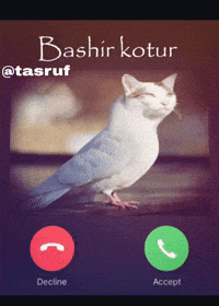 Kashmiri GIF