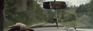 big cat GIF by Domino Recording Co.
