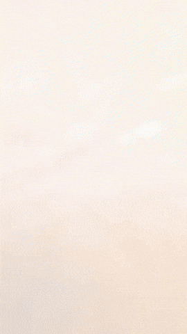 Cassie Fivenightsatfreddys GIF by Youtooz