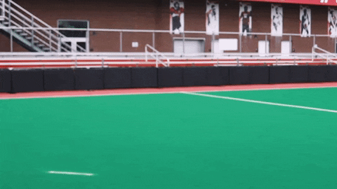 University Of Louisville Go Cards GIF by Louisville Cardinals