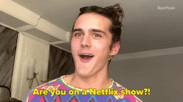 Are You On A Netflix Show?!