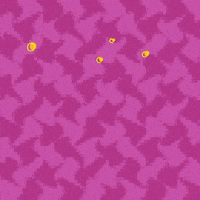 What's In The Fridge? (Title Sequence)