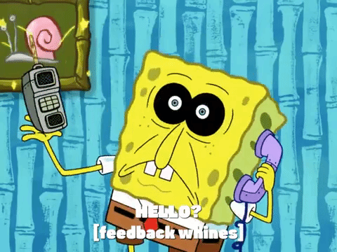 season 8 GIF by SpongeBob SquarePants