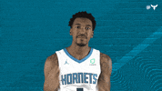 Malik Monk Sport GIF by Charlotte Hornets