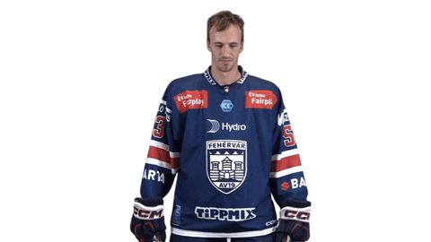 Celebration GIF by Fehervar AV19