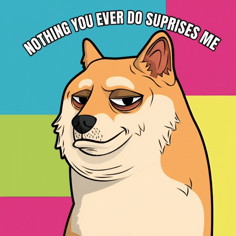 Unimpressed Shiba Inu GIF by Doge Pound