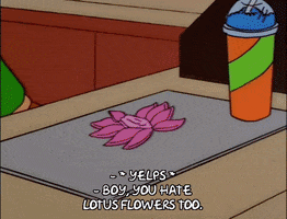 homer simpson GIF