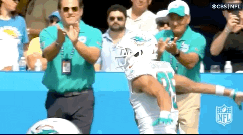 Regular Season Football GIF by NFL