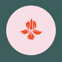 PhotoOpp grateful photo opp GIF