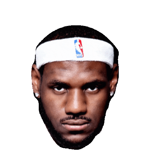 lebron james basketball Sticker