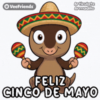 Happy Spanish GIF by VeeFriends