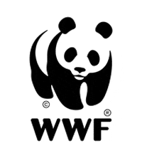 Panda Природа GIF by WWF Bulgaria