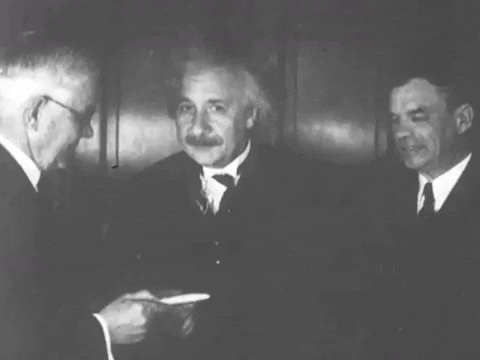 albert einstein GIF