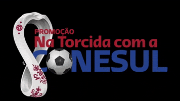 Foz Do Iguacu Copa GIF by Conesulfoz