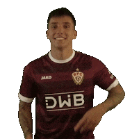 Call Me Sticker by BFC Dynamo