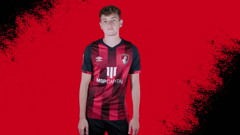 Happy Nodding GIF by AFC Bournemouth