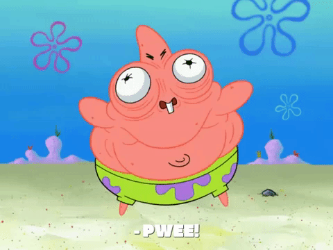 season 8 episode 20 GIF by SpongeBob SquarePants