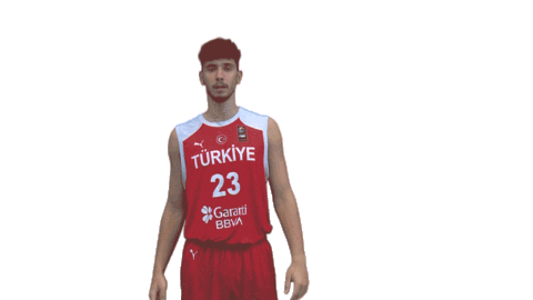 Turkey Bizbirlikteyiz Sticker by Türkiye Basketbol Federasyonu