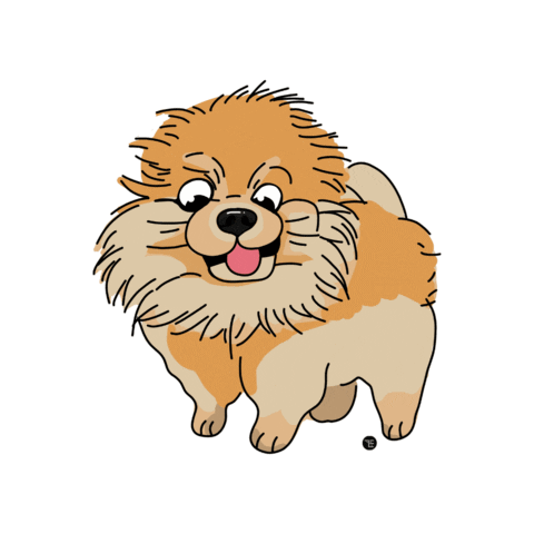 Dog Pomeranian Sticker