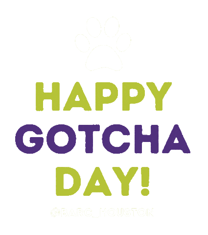 BARCHouston giphyupload gotcha adopted animal shelter Sticker