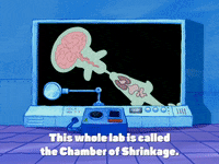 season 4 GIF by SpongeBob SquarePants