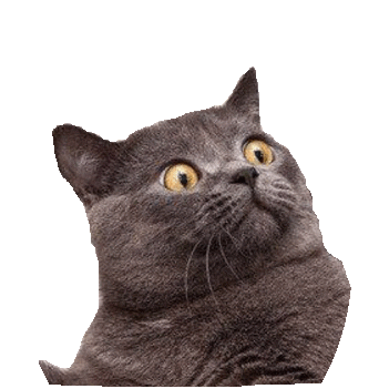 dafuq STICKER by imoji