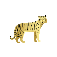 Lunar New Year Tiger Sticker by Lady M Cakes