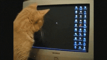 Watching Work From Home GIF