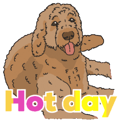 Dog Days Of Summer Sticker