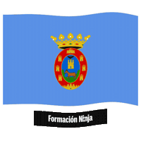 Region De Murcia Flag Sticker by Formación Ninja