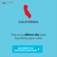 california GIF by Univision Noticias