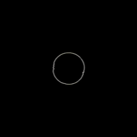 art design GIF by DOMCAKE