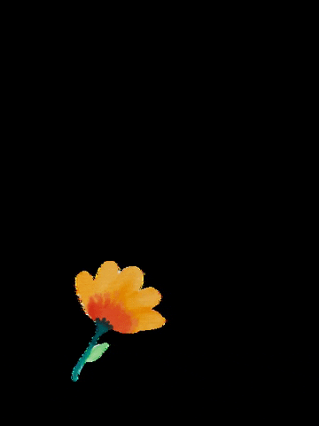 Mycolorfulsquares giphygifmaker flower orange flora GIF