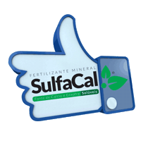 sulgesso sulgesso sulfacal Sticker