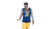 Salt Bae Football Sticker by Delaware Blue Hens