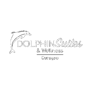 Dolphinsuitescuracao giphyupload rediscover curaçao tropicalgetaway Sticker