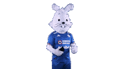Cruz Azul Blu Sticker by Club de Futbol Cruz Azul