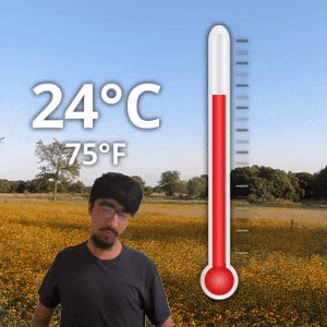 24 °C