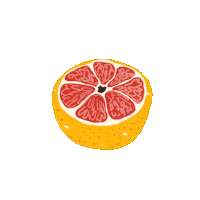 Summer Orange Sticker