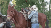 wyoming GIF