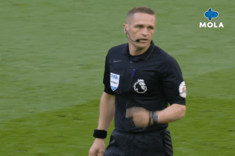 Happy Celebration GIF by MolaTV
