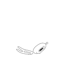 _loop animation loop sticker doodle Sticker