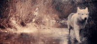music video running GIF