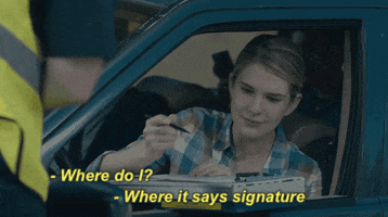 lily rabe GIF by Miss Stevens