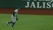 Major League Baseball Sport GIF by MLB