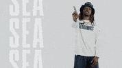 American Football GIF by Seattle Seahawks