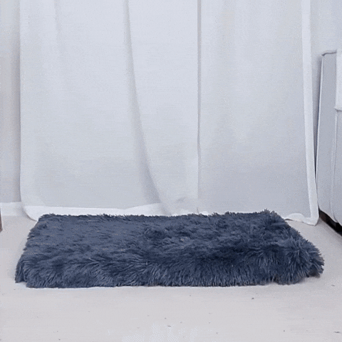 gif chien détendu